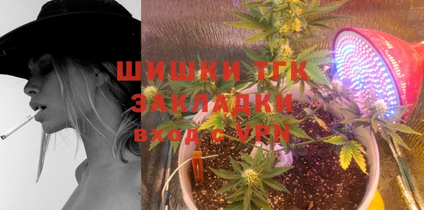 стаф Волосово