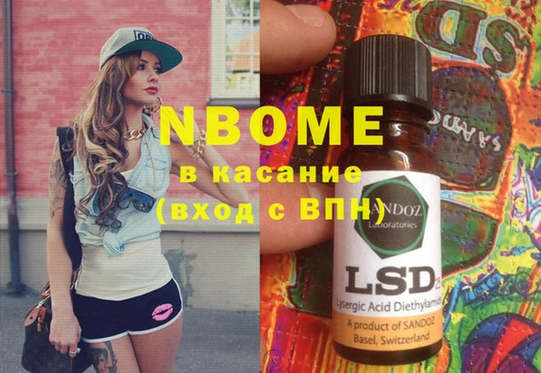 стаф Волосово